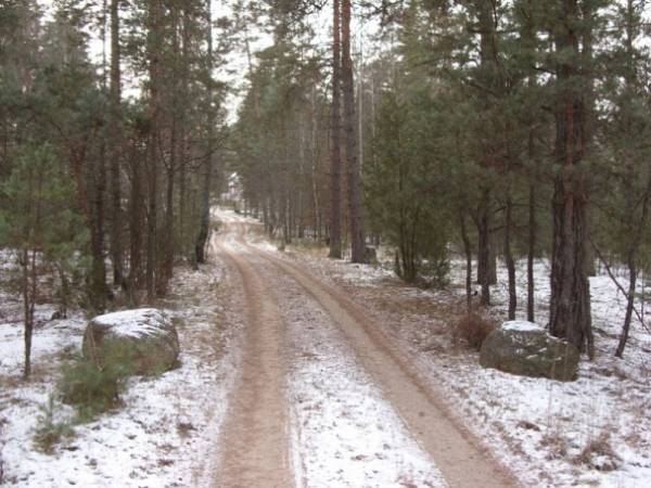 Poddubno. Kaplica Św. Aleksandra Newskiego