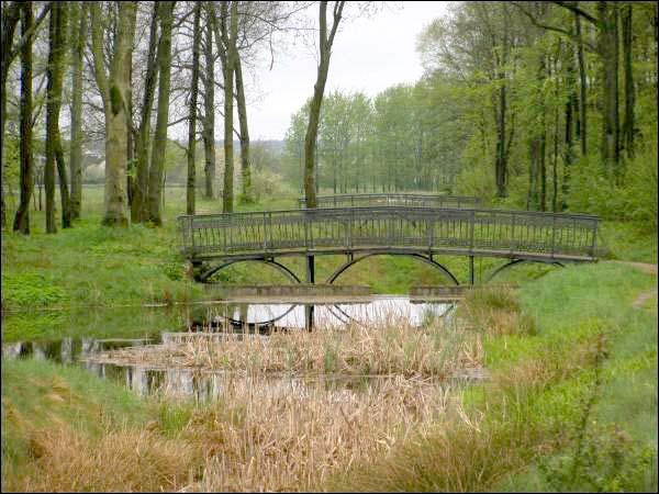  - Усадебно-парковый ансамбль Швыковских. В парке