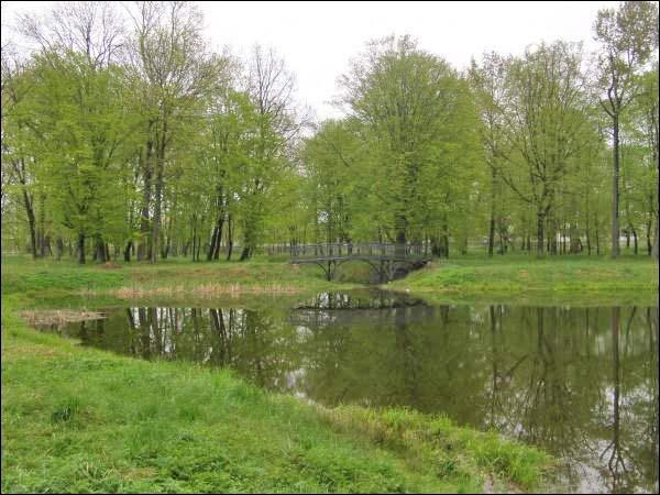  - Усадебно-парковый ансамбль Швыковских. Пруд в парке