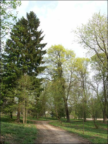 Zieleniewicze. Zespół dworsko-parkowy 