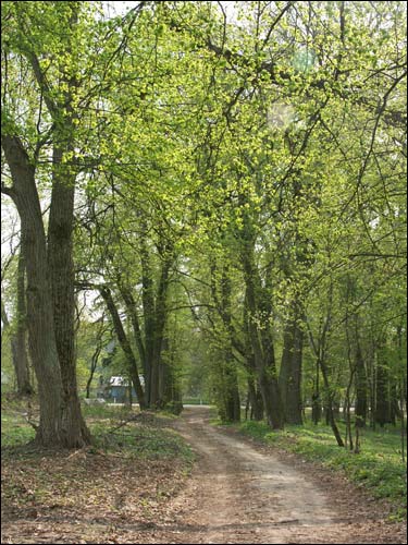 Zieleniewicze. Zespół dworsko-parkowy 