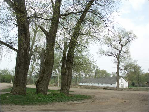 Zieleniewicze. Zespół dworsko-parkowy 