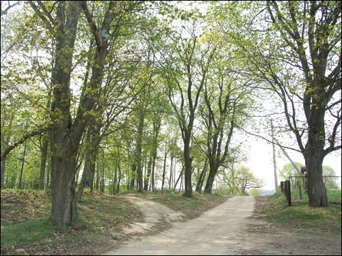 Zieleniewicze. Zespół dworsko-parkowy 