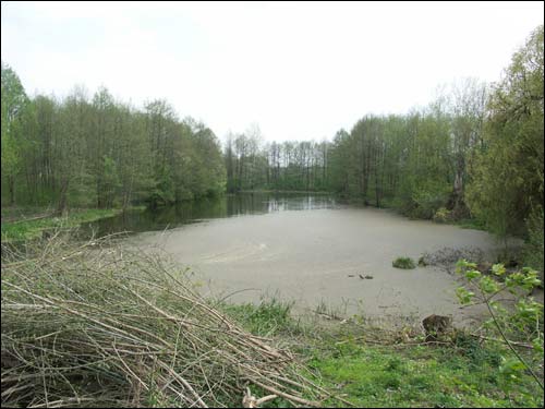 Zieleniewicze. Zespół dworsko-parkowy 