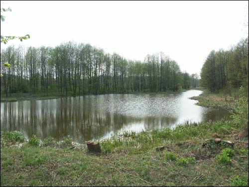 Zieleniewicze. Zespół dworsko-parkowy 