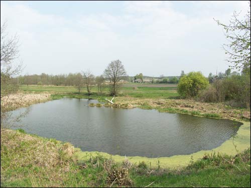 Zieleniewicze. Zespół dworsko-parkowy 