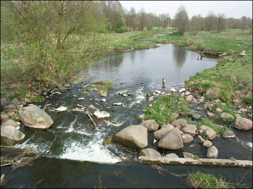 Зеленевичи. Усадебно-парковый ансамбль 