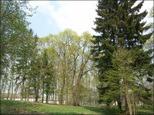 Zieleniewicze. Zespół dworsko-parkowy 