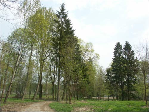 Zieleniewicze. Zespół dworsko-parkowy 