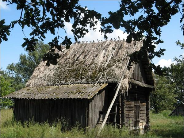 Альманы. Краявіды 