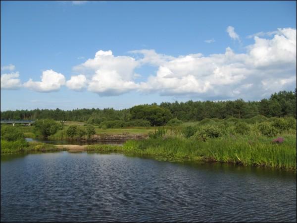 Альманы. Краявіды 