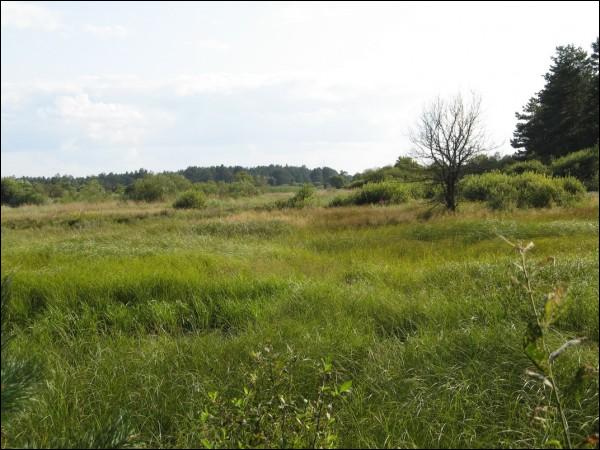 Альманы. Краявіды 