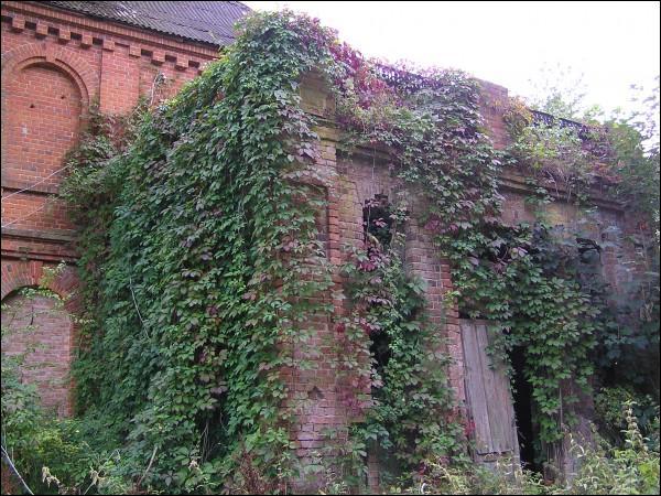 Новобережное |  Усадьба Олешей. 