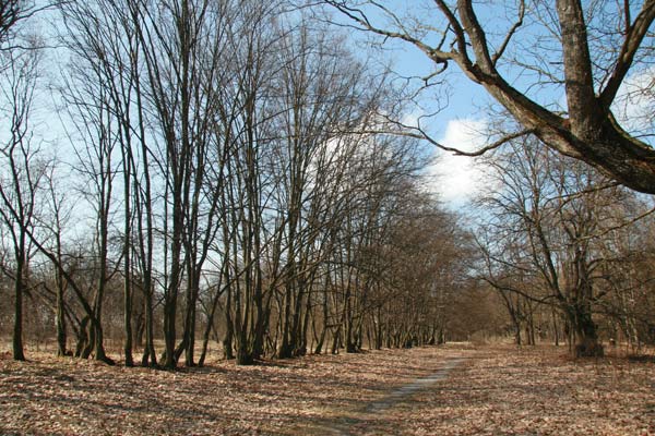  - Manor park Mańkovičy. 