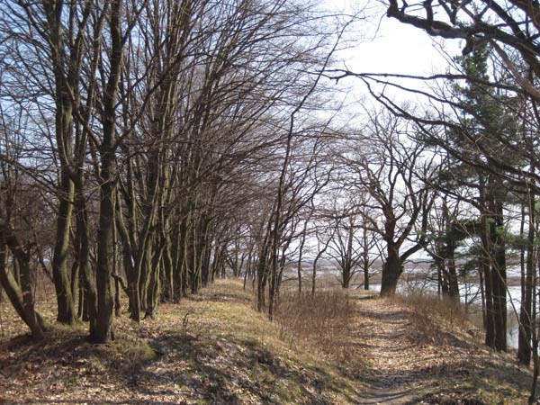  - Manor park Mańkovičy. 