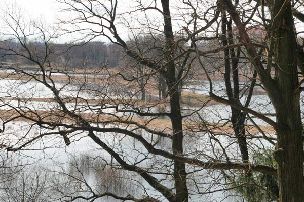  - Manor park Mańkovičy. 