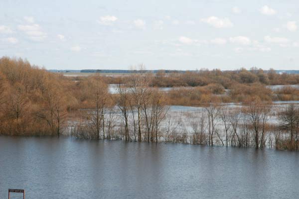  - Manor park Mańkovičy. 