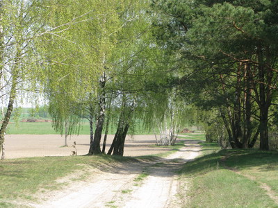  - In the village . 