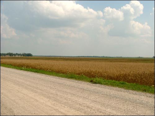 Сехновичи Малые |  Пейзажи . 
