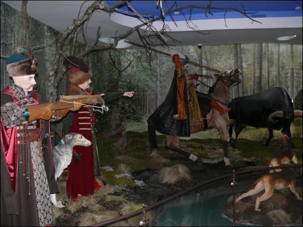 Biełaviežskaja pušča.  Museum