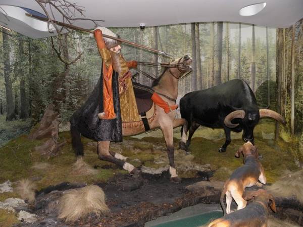 Biełaviežskaja pušča.  Museum