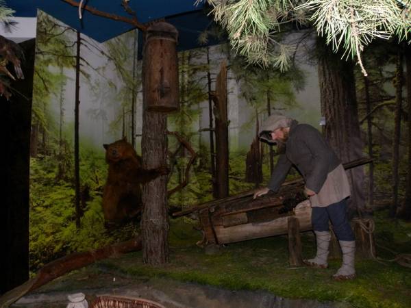 Biełaviežskaja pušča.  Museum