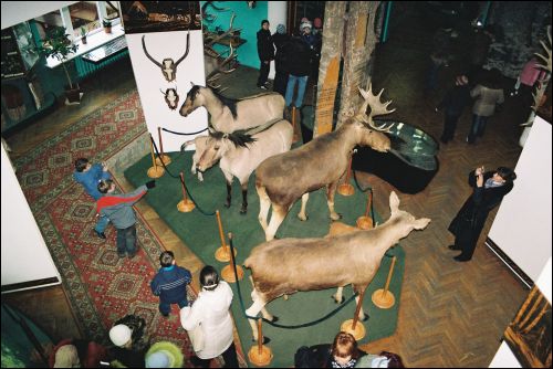 Biełaviežskaja pušča.  Museum
