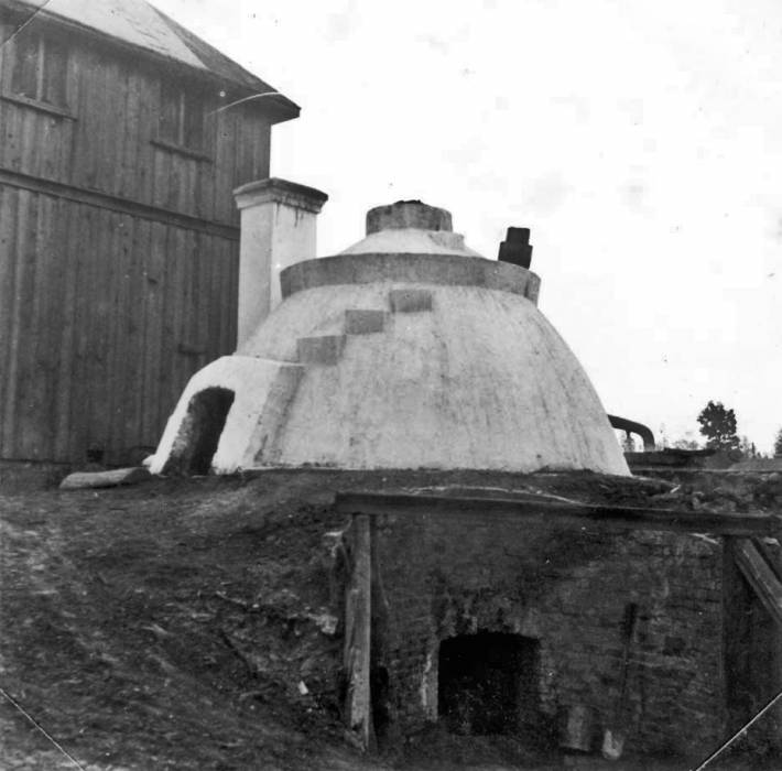 Biełaviežskaja pušča.  Forest at old photographs