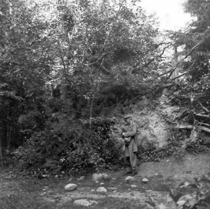 Biełaviežskaja pušča.  Forest at old photographs