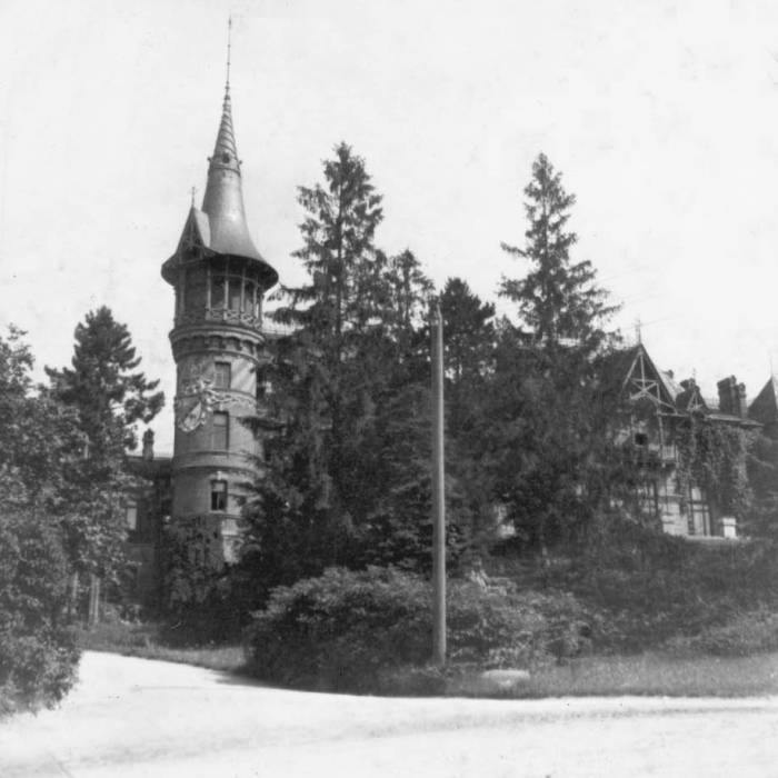 Biełaviežskaja pušča.  Forest at old photographs
