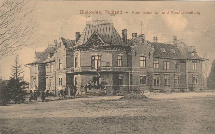 Biełaviežskaja pušča.  Forest at old photographs