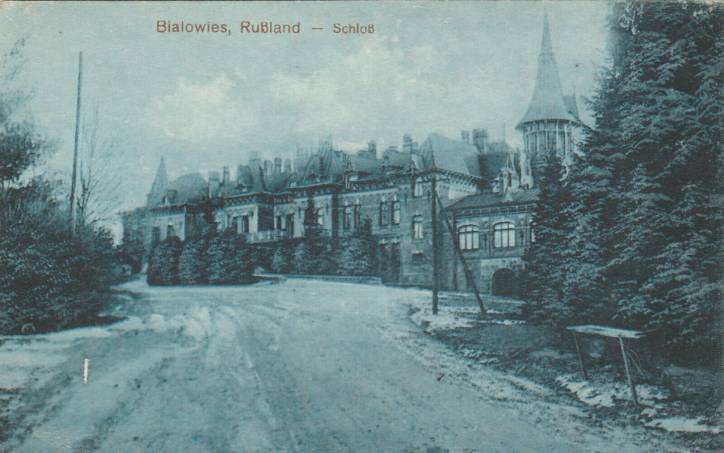 Biełaviežskaja pušča.  Forest at old photographs