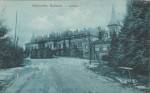  Белавежская пушча -  Пушча на старых фотаздымках