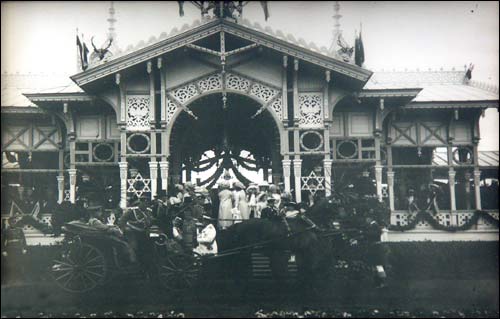 Biełaviežskaja pušča.  Forest at old photographs