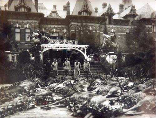 Biełaviežskaja pušča.  Forest at old photographs