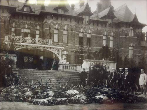 Biełaviežskaja pušča.  Forest at old photographs