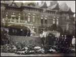 Biełaviežskaja pušča.   Forest at old photographs