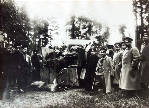Biełaviežskaja pušča.  Forest at old photographs