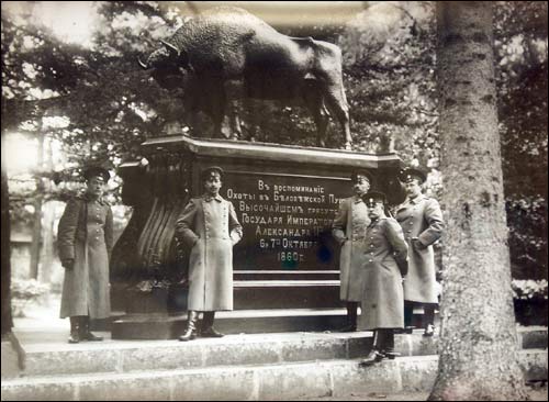 Biełaviežskaja pušča.  Forest at old photographs