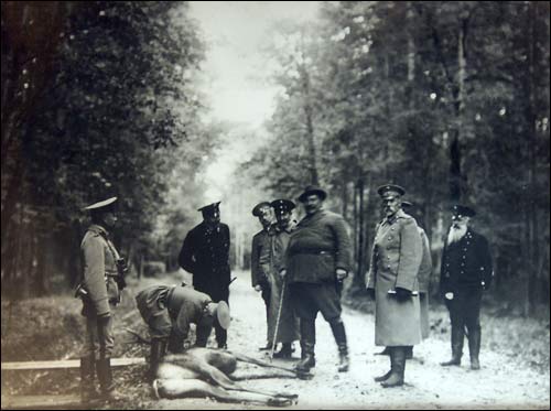 Biełaviežskaja pušča.  Forest at old photographs