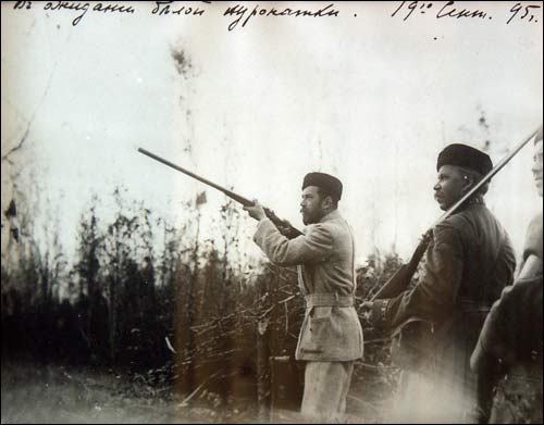 Biełaviežskaja pušča.  Forest at old photographs