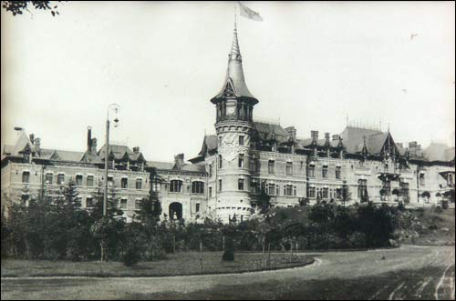 Biełaviežskaja pušča.  Forest at old photographs
