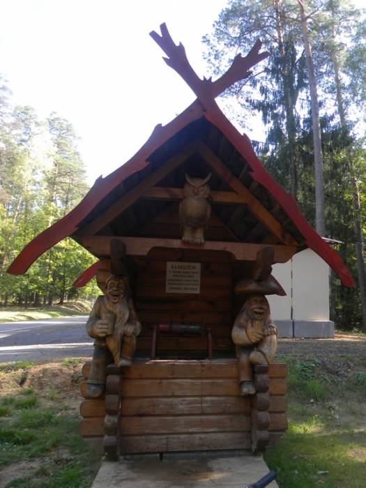 Puszcza Białowieska |  Krajobrazy . 