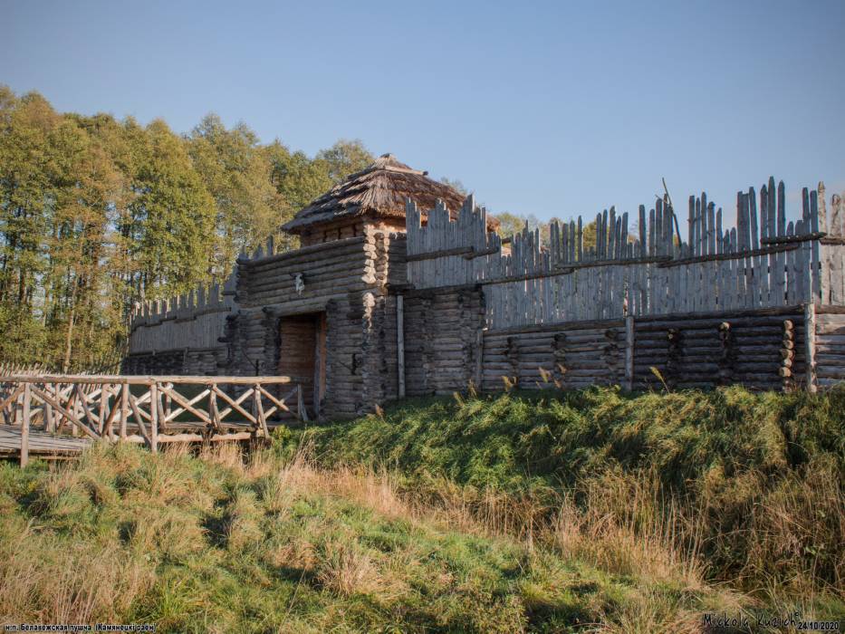 Biełaviežskaja pušča |  Landscapes . 