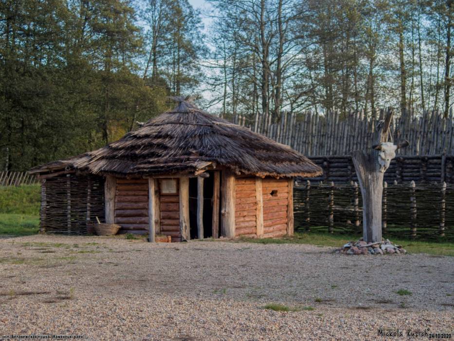 Biełaviežskaja pušča |  Landscapes . 
