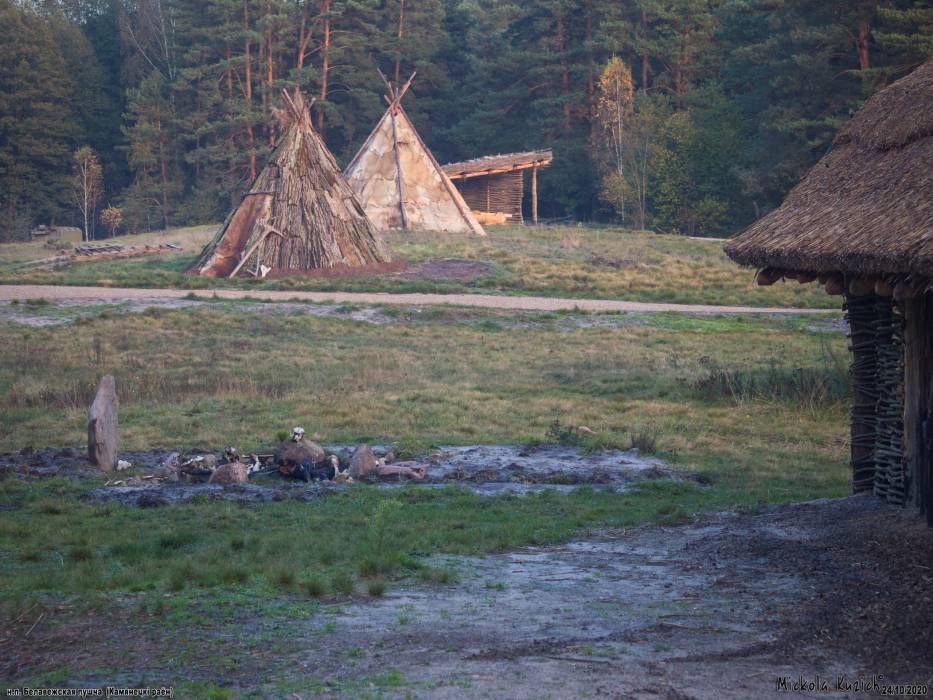 Biełaviežskaja pušča |  Landscapes . 