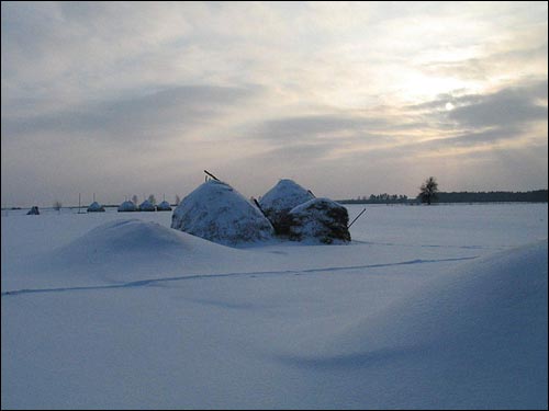 Харомцы. Краявіды 