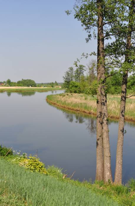 Dobruš. Town streets 