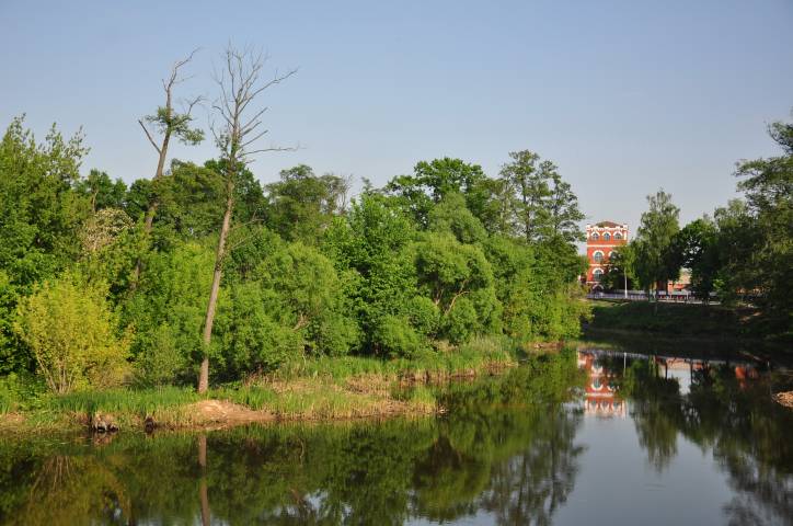 Dobruš. Town streets 