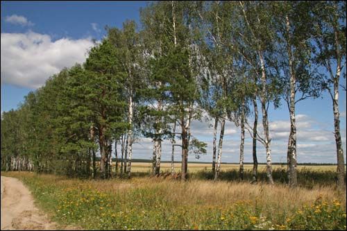Charošaŭka. Landscapes 